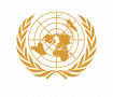 UN logo UN logo
