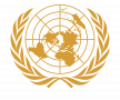UN logo UN logo